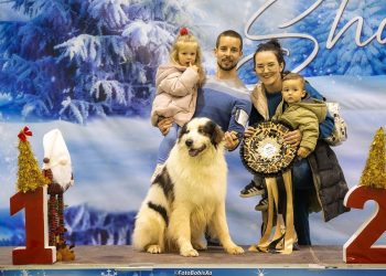 Zapažen uspjeh hercegovačkih tornjaka na “Grude Winter Showu”