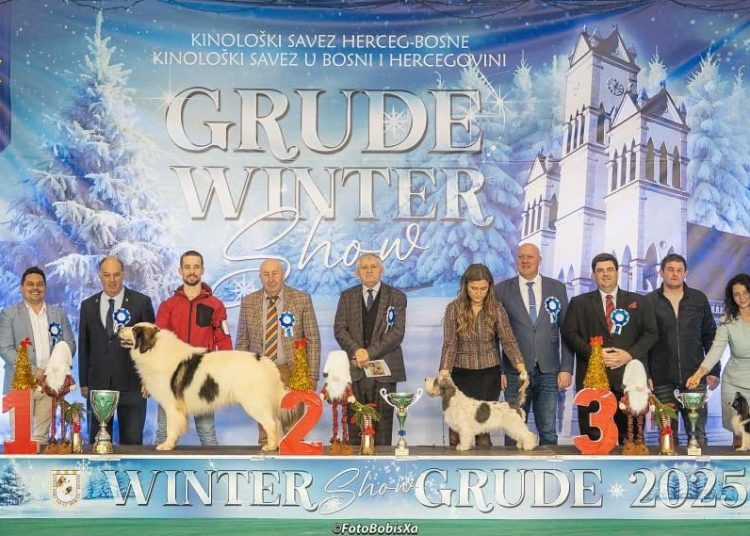 Zapažen uspjeh hercegovačkih tornjaka na “Grude Winter Showu”