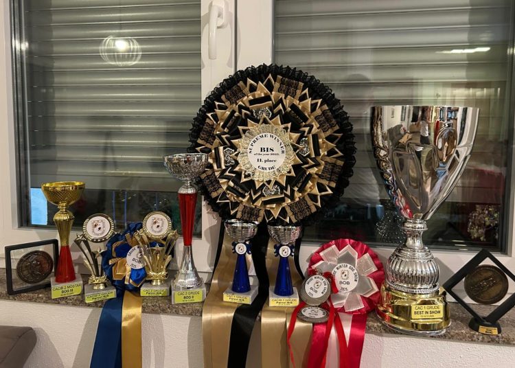 Zapažen uspjeh hercegovačkih tornjaka na “Grude Winter Showu”