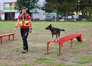 K9 tim GSS-a Široki Brijeg uspješno položio RH-T licencu
