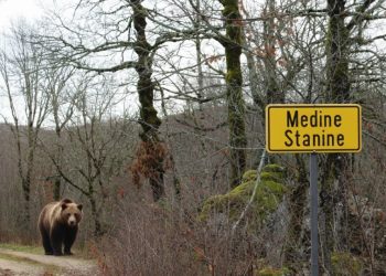 Medine Stanine: Vrata tišine Širokog Brijega