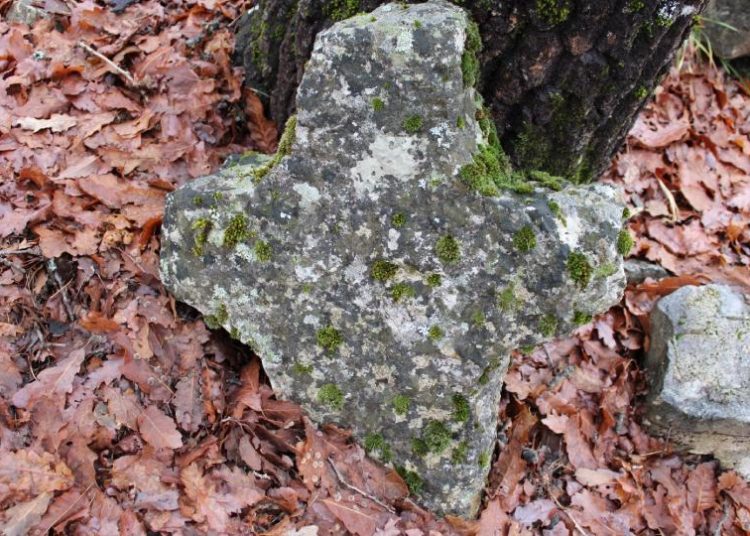 Medine Stanine: Vrata tišine Širokog Brijega
