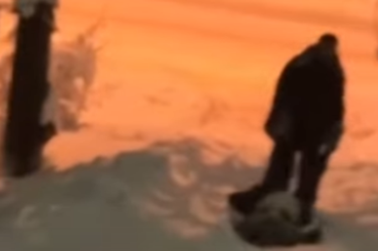 (VIDEO) Urnebesna snimka iz BiH: “Evo kako spustiti trudnicu niz brdo”
