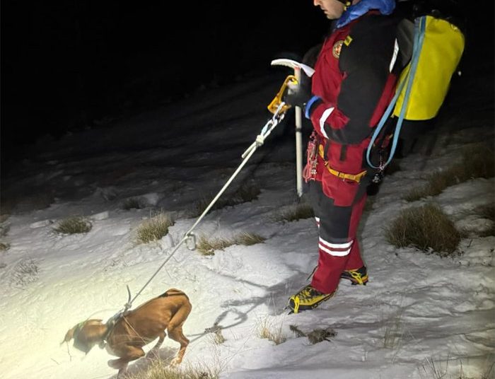 Herojska noćna akcija GSS-a Široki Brijeg: Pas spašen s opasnih stijena nakon višesatne potrage