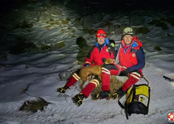 Herojska noćna akcija GSS-a Široki Brijeg: Pas spašen s opasnih stijena nakon višesatne potrage