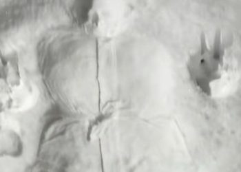 (VIDEO) “Neka djevojka se razbila ispred mene”: Objava postala hit u regiji, ali nisu svi shvatili foru