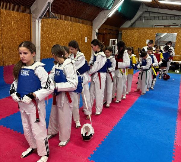 Foto: Taekwondo POSKOK