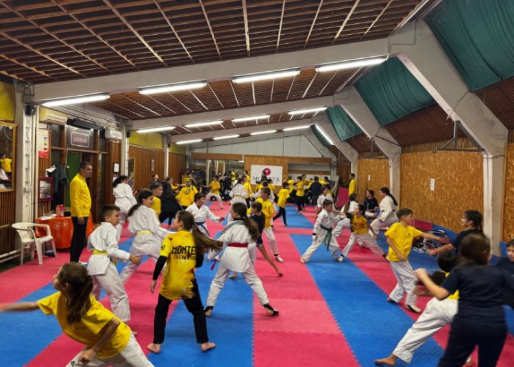 Foto: Taekwondo POSKOK