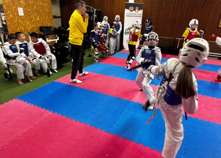 Foto: Taekwondo POSKOK
