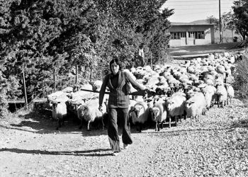 Foto: Digitalni arhiv Široki Brijeg