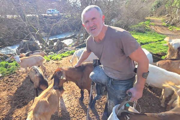 Priča o Ljubušaku koji ustaje u pet, čuva 150 koza i još se nada trećem braku