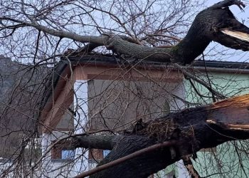 Foto: Vatrogasci Ljubuški