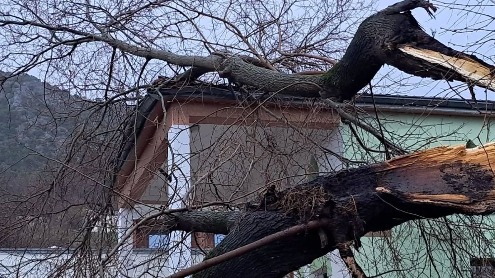 Nevrijeme u Ljubuškom: Stablo palo na automobil i objekt