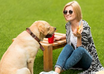Pas vas gleda ravno u oči dok jedete? Stručnjaci otkrivaju što taj pogled zapravo znači