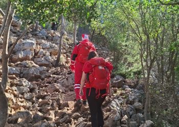 Brzom intervencijom uspješno okončana potraga za nestalom ženom na području Čitluka