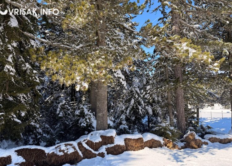 Posjetili smo Blidinje i provjerili kako idu pripreme za otvaranje velike staze