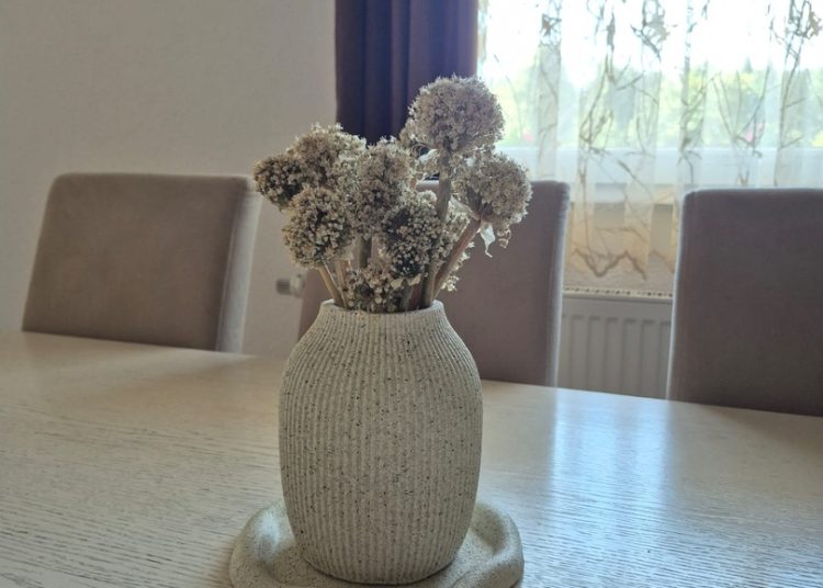 Širokobriježanka gips pretvara u umjetnost, upoznajte NLN handmade
