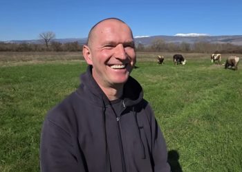 (VIDEO) Mladi Širokobriježanin s dva posla: Toni Zelenika danju s kravama na Blatu, noću u pekari