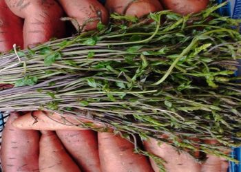 Kilogram prvih kuka na veletržnici u Čapljini košta 50 KM