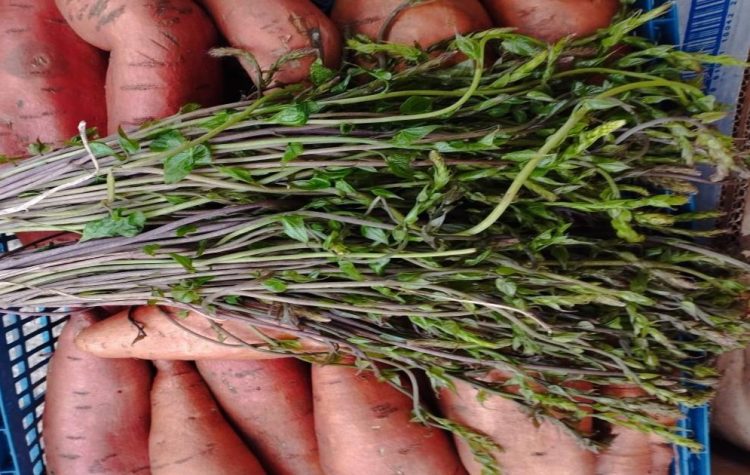 Kilogram prvih kuka na veletržnici u Čapljini košta 50 KM