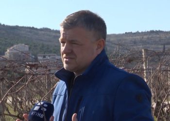 Vinogradari u Hercegovini krenuli s rezidbom, očekuju dobru godinu