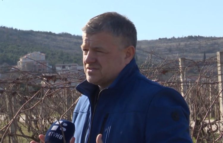 Vinogradari u Hercegovini krenuli s rezidbom, očekuju dobru godinu
