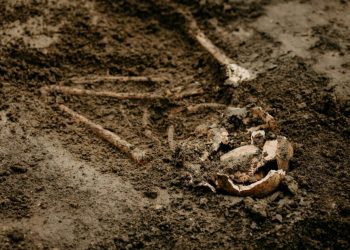 Objavljeno kome pripadaju pronađeni skeletni ostaci kod Mostara