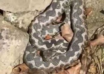 (VIDEO) Zrake sunca izmamile i poskoka