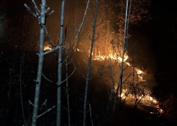 Požar trave i niskog raslinja na Ruištu, intervenirali vatrogasci