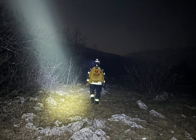 Požar trave i niskog raslinja na Ruištu, intervenirali vatrogasci