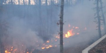 Vatrogasci DVD-a Kočerin spriječili širenje požara u blizini vrtića na Privalju
