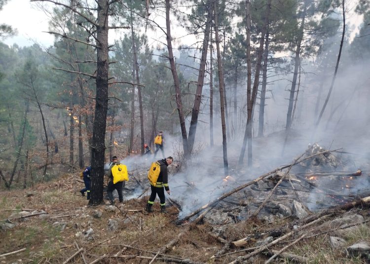 Požar u Ljutom Docu prijetio kućama: Vatrogasci ponovno gasili požar koji se aktivirao