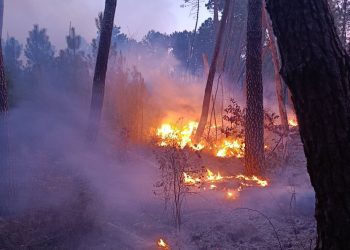 Požar u Ljutom Docu prijetio kućama: Vatrogasci ponovno gasili požar koji se aktivirao