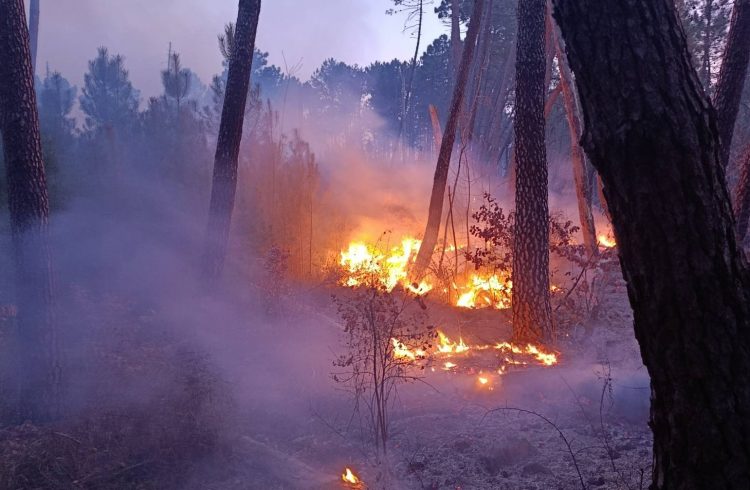 Požar u Ljutom Docu prijetio kućama: Vatrogasci ponovno gasili požar koji se aktivirao