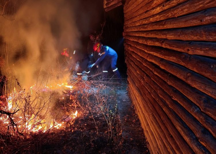 Požar u Ljutom Docu prijetio kućama: Vatrogasci ponovno gasili požar koji se aktivirao