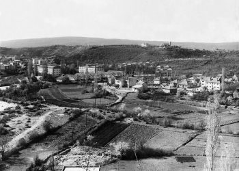 Iz prošlosti Širokog Brijega: Nova veterinarska stanica na Lištici i rekord rođenih 1960.