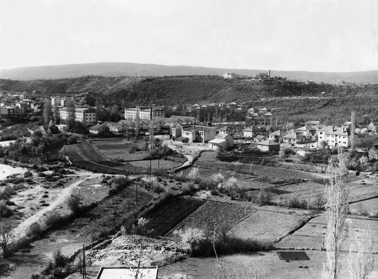 Iz prošlosti Širokog Brijega: Nova veterinarska stanica na Lištici i rekord rođenih 1960.