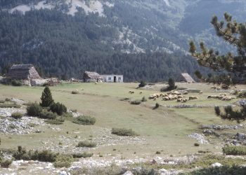 Donji Badnji i Masna Luka 1980.: Dvije pastirice iz Širokog Brijega