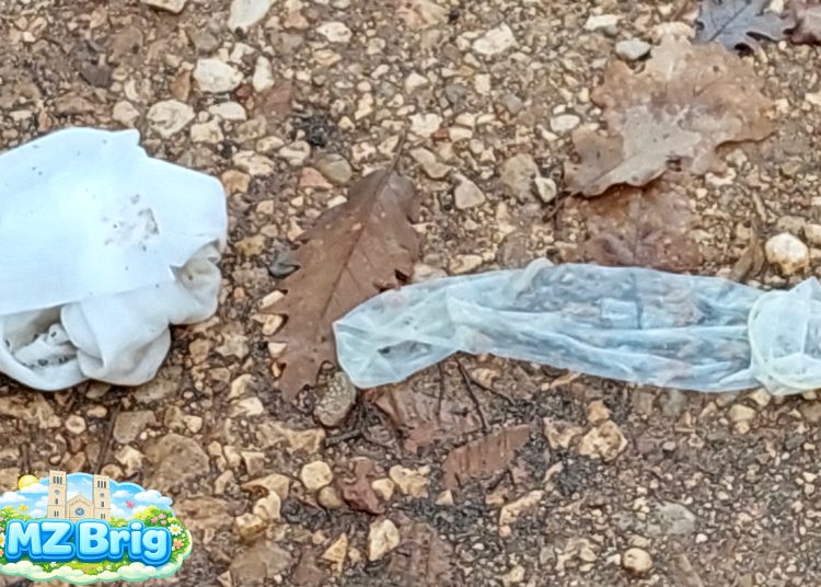 (VIDEO) Široki Brijeg: Velika zajednička akcija čišćenja mještana Uzarića i Briga za Križni put