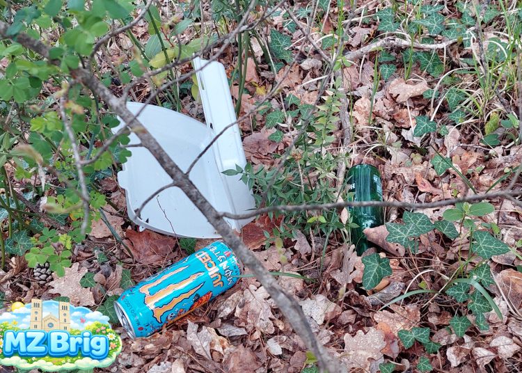 (VIDEO) Široki Brijeg: Velika zajednička akcija čišćenja mještana Uzarića i Briga za Križni put