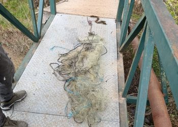 Široki Brijeg: Mladi ribolovac spasio Lišticu, ribočuvari spriječili krivolov