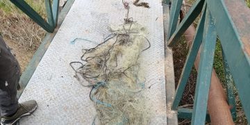 Široki Brijeg: Mladi ribolovac spasio Lišticu, ribočuvari spriječili krivolov