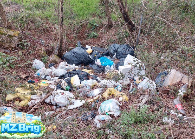 (VIDEO) Široki Brijeg: Velika zajednička akcija čišćenja mještana Uzarića i Briga za Križni put