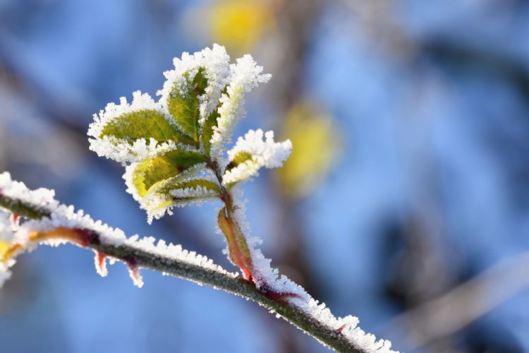 Toplinski val usred ožujka, ali stiže preokret: Meteorolozi upozoravaju na šok vremena