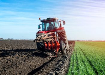 Proljetna sjetva u BiH počinje uskoro, sadni materijal uglavnom dostupan