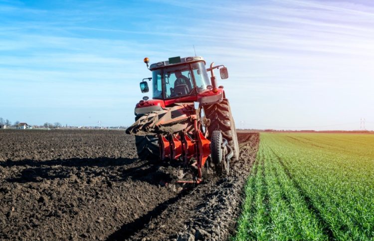 Proljetna sjetva u BiH počinje uskoro, sadni materijal uglavnom dostupan