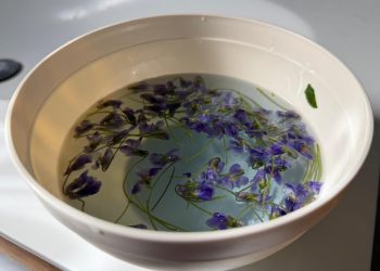 Danas je blagdan Cvjetnice, počinju pripreme za Uskrs