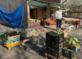 Donosimo cijene na tržnici u Čapljini: Lijepo vrijeme utjecalo na veću ponudu