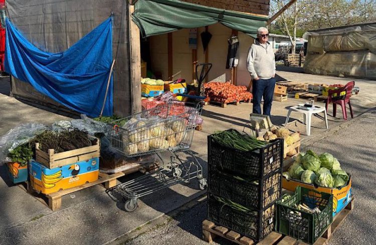 Donosimo cijene na tržnici u Čapljini: Lijepo vrijeme utjecalo na veću ponudu