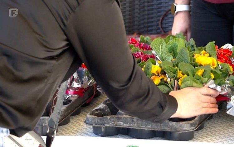 Građani Mostara mijenjali plastične boce za sadnice cvijeća